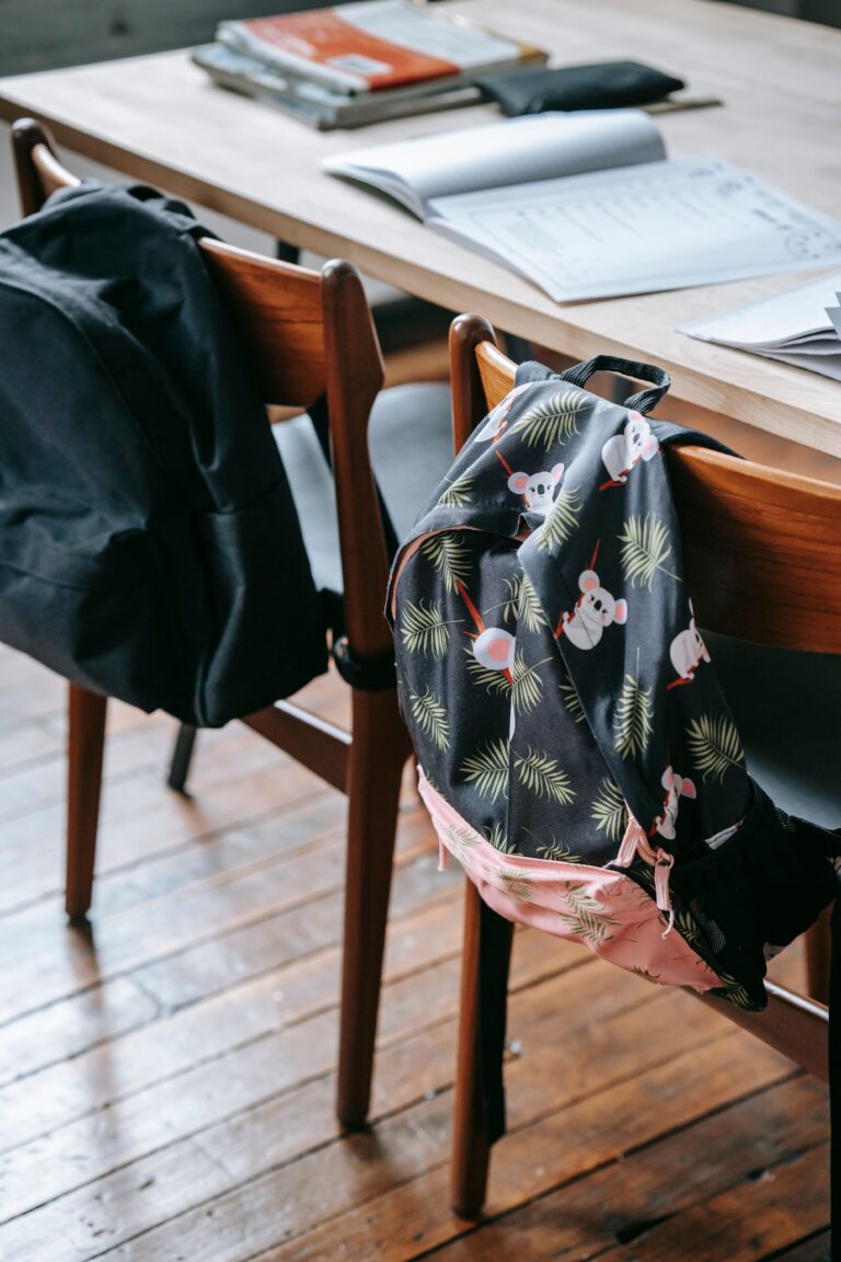 5. sınıfa geçişte okul çantası, defter ve kitaplar